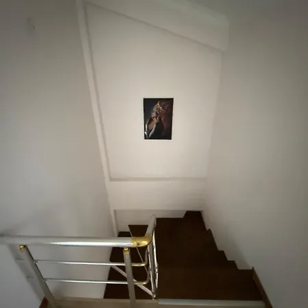 4+1 Dublex Lux Flat In Sultan Selim 아파트 이스탄불