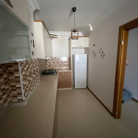 4+1 Dublex Lux Flat In Sultan Selim